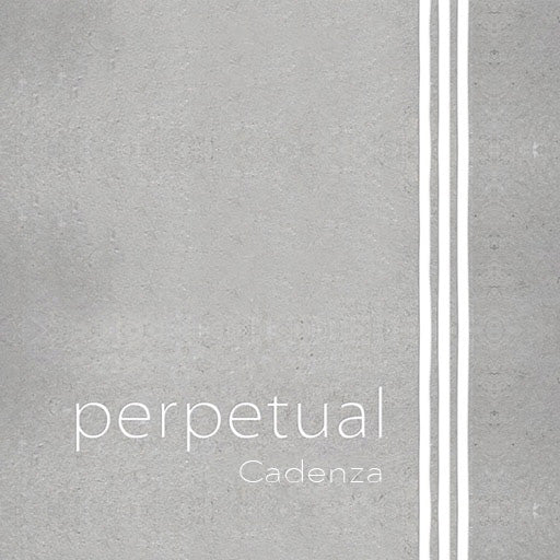 Pirastro Perpetual Cadenza Violin D String 4/4 Size