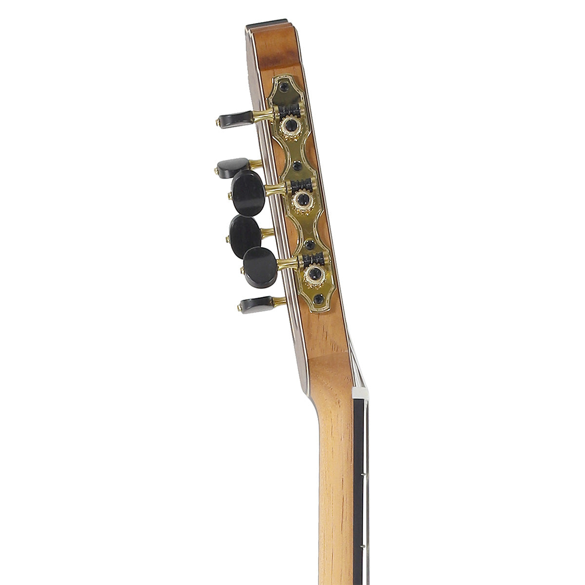 Hanika New Century Lattice Concert Line Classical Guitar with Hiscox Case