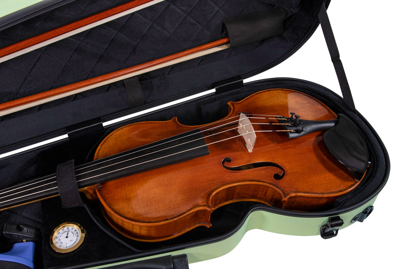 RAAN Shaped Violin Case Spring Grass 1/2-1/4