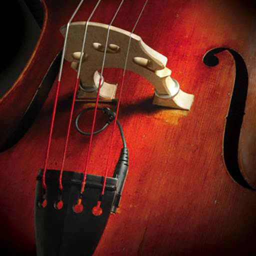 Realist Copperhead Piezo Transducer for String Bass