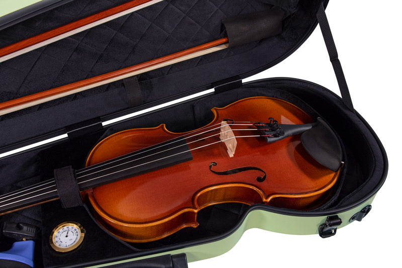 RAAN Shaped Violin Case Spring Grass 1/2-1/4
