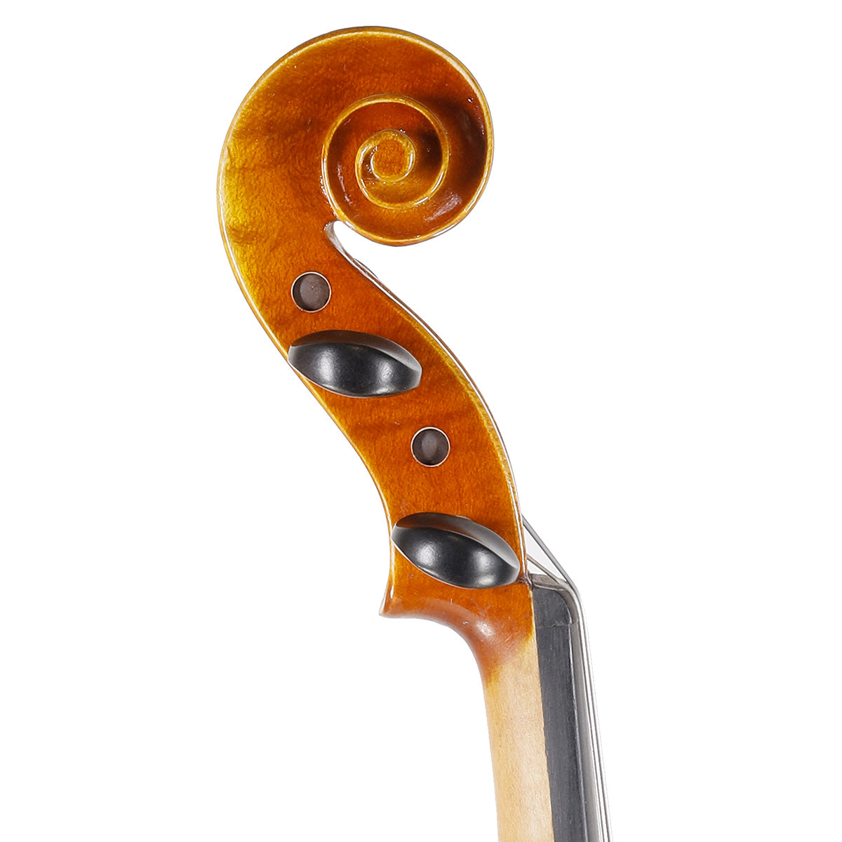 GEWA Evolve AU3 Violin 4/4 Full Size