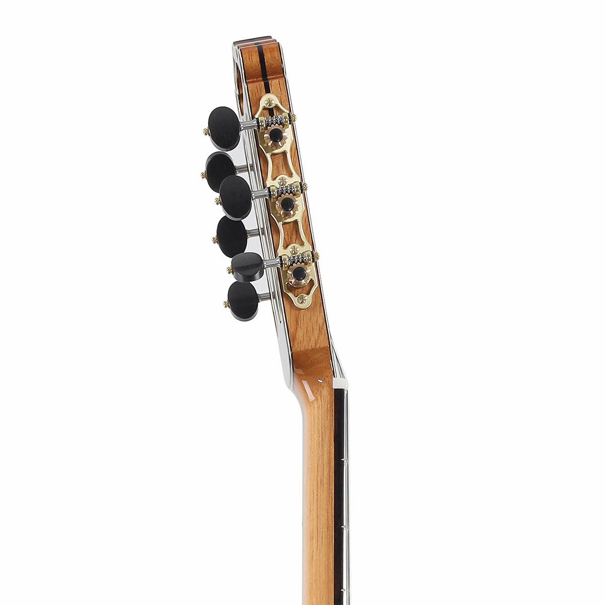 Hanika Custom Shop HE Lattice Professional Line Classical Guitar with BAM Case