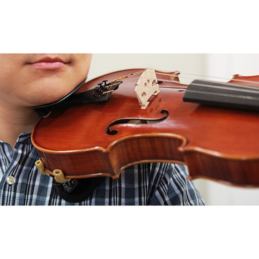 Wittner Hypoallergenic Central Violin Chinrest 4/4